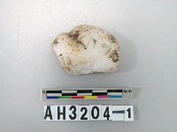 藏品(石英石料)的圖片
